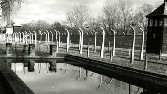 Swimming In Auschwitz